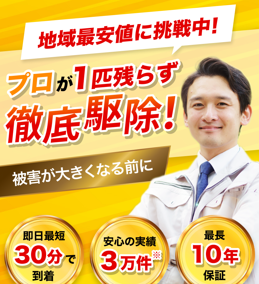 地域最安値に挑戦中！ プロが1匹残らず徹底駆除！ 被害が大きくなる前に ・即日最短30分で到着 ・安心の実績3万件 ※相談、問合せ等全体の対応件数になります。 ・最長10年保証