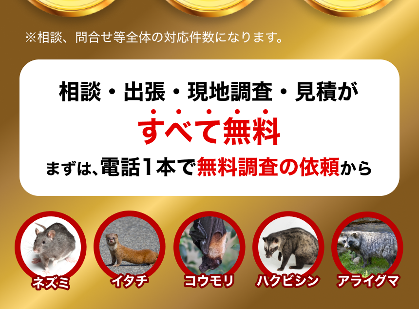 相談・出張・現地調査・見積が全て無料！ まずは、電話1本で無料調査の依頼から！ 害獣（ネズミ・イタチ・ハクビシン・アライグマ・コウモリなど）から大切な家屋を守ります
